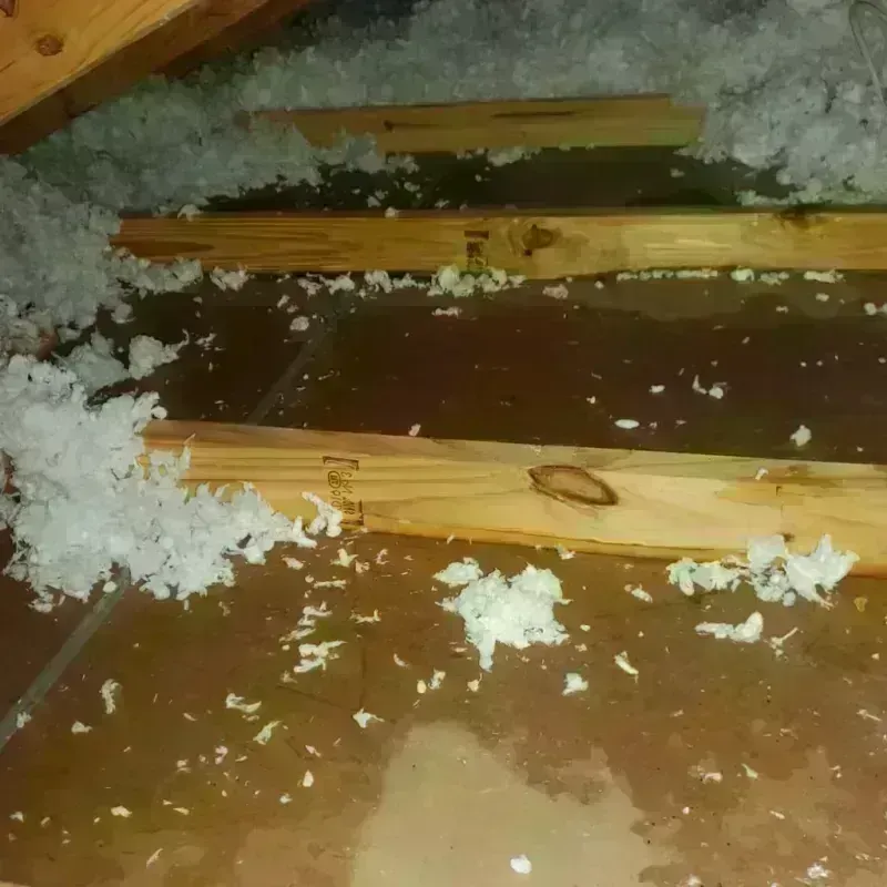 Attic Water Damage in Piedmont, SC