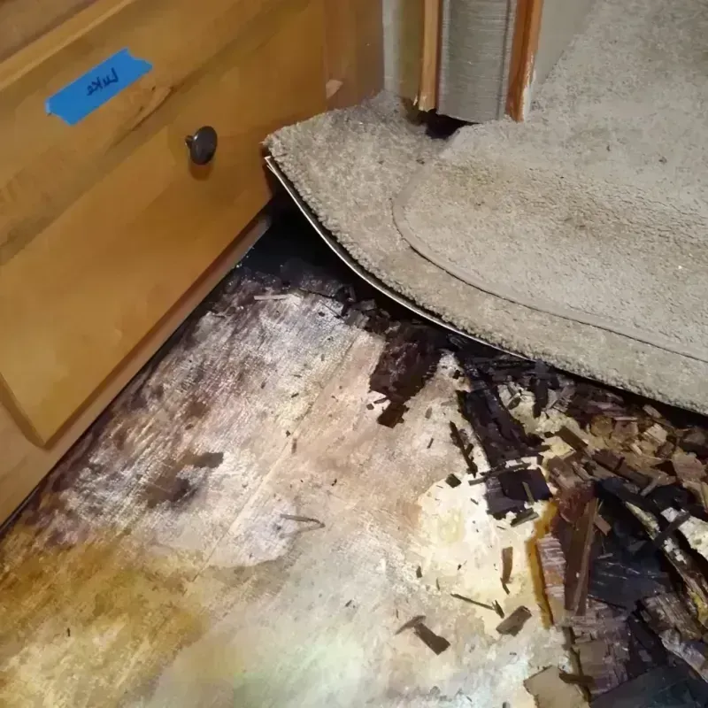 Best Wood Floor Water Damage Service in Piedmont, SC